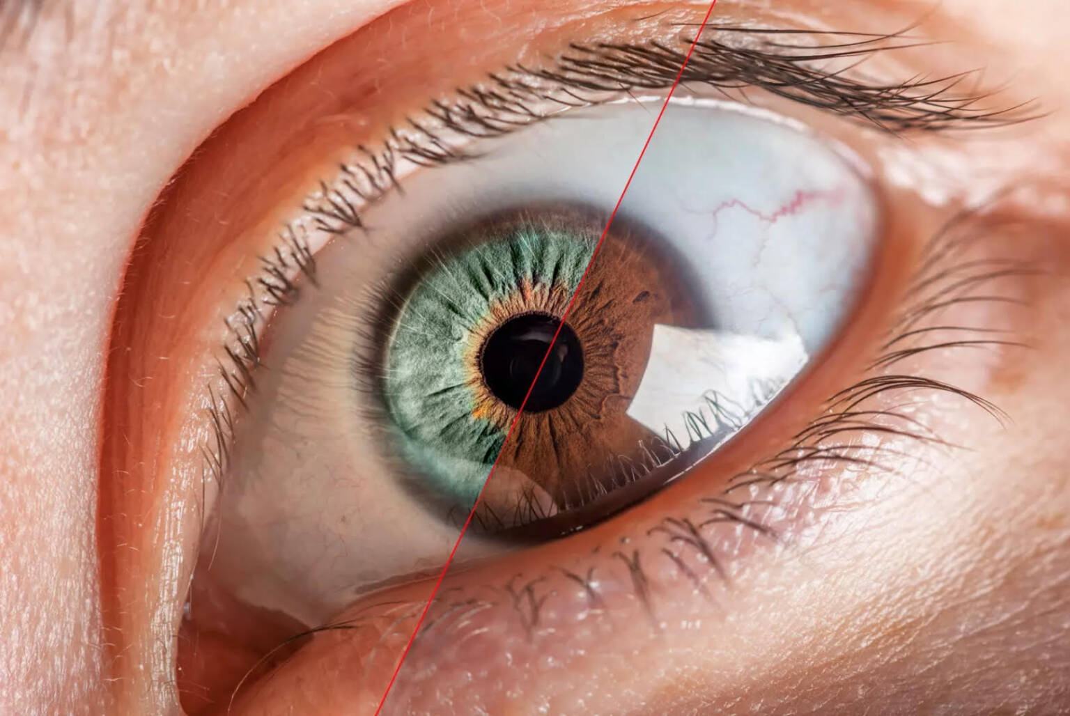 KOLOR-2026-1536x1028 KOLOR-2026-1536x1028